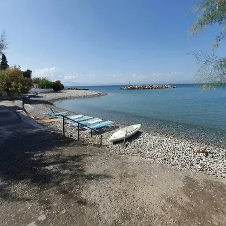 Messinian Breeze *